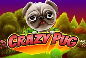 Crazy Pug
